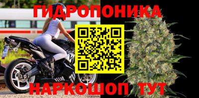 apvp Гусь-Хрустальный
