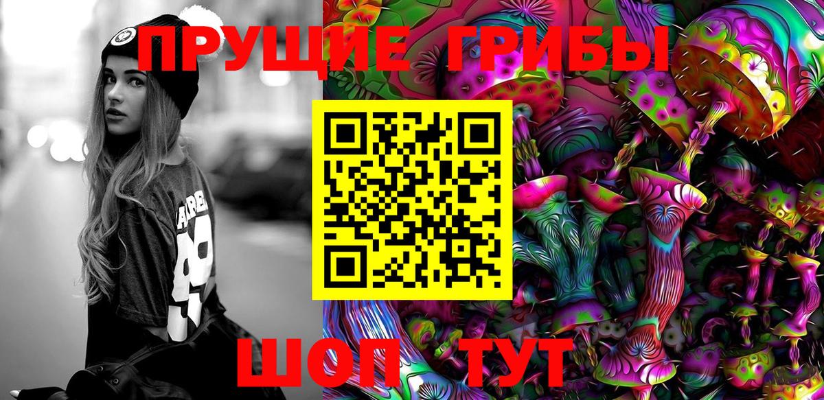 Псилоцибиновые грибы мицелий Людиново